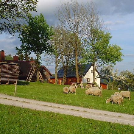 Na Zvonici Casa de hóspedes Paseky nad Jizerou Exterior foto