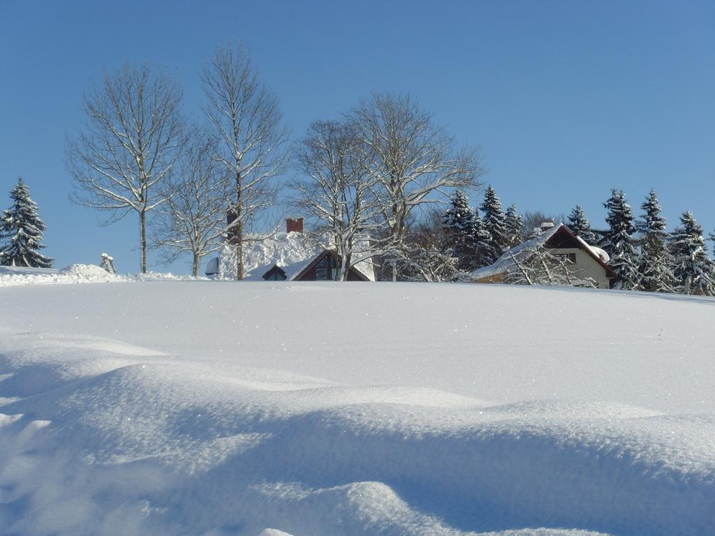 Na Zvonici Casa de hóspedes Paseky nad Jizerou Exterior foto